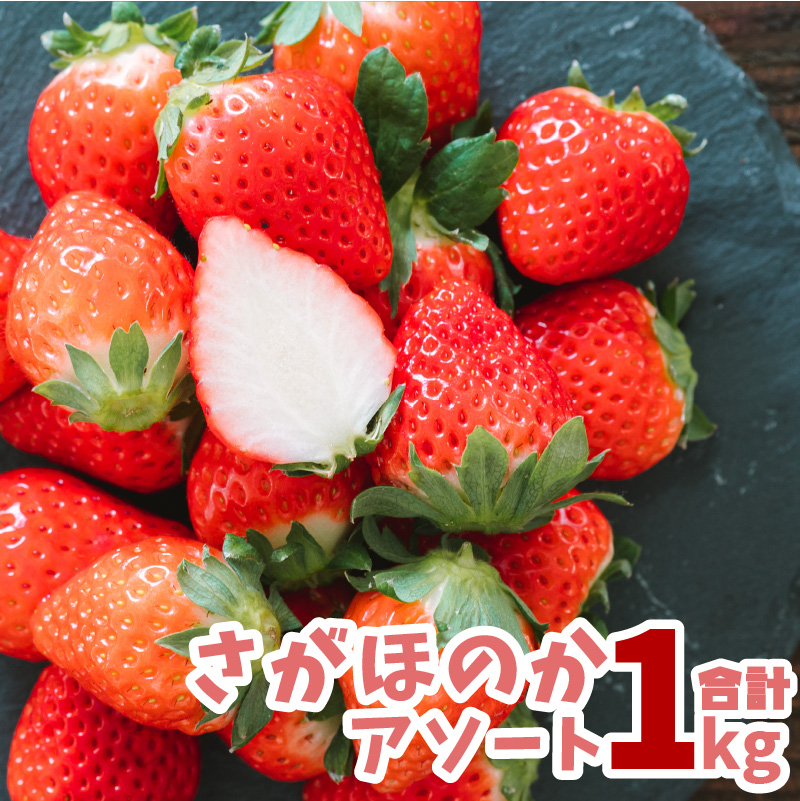 最新人気 楽天市場 ふるさと納税 河野いちご農園 さがほのか アソート 約1kg程度 1パック当たり 270g以上 4パック いちご 苺 イチゴ 宮崎県産 フルーツ 果物 ギフト 贈り物 送料無料 21年2月 5月内に出荷 宮崎県新富町 想像を超えての Lexusoman Com