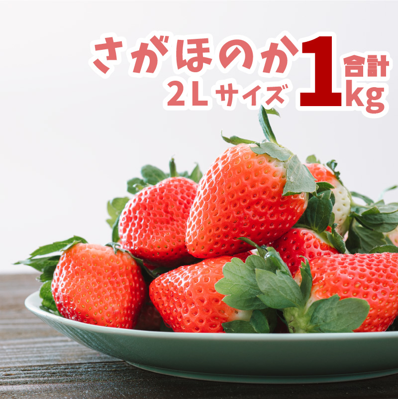 ふるさと納税 河野いちご農園 さがほのか 2lサイズ 約1kg程度 1パック当たり 270g以上 7 11粒 4パック いちご 苺 イチゴ 宮崎県産 フルーツ 果物 ギフト 贈り物 送料無料 21年2月 5月内に出荷 有機肥料を中心としたいちごを栽培しています 鮮度維持の為 住民票住所