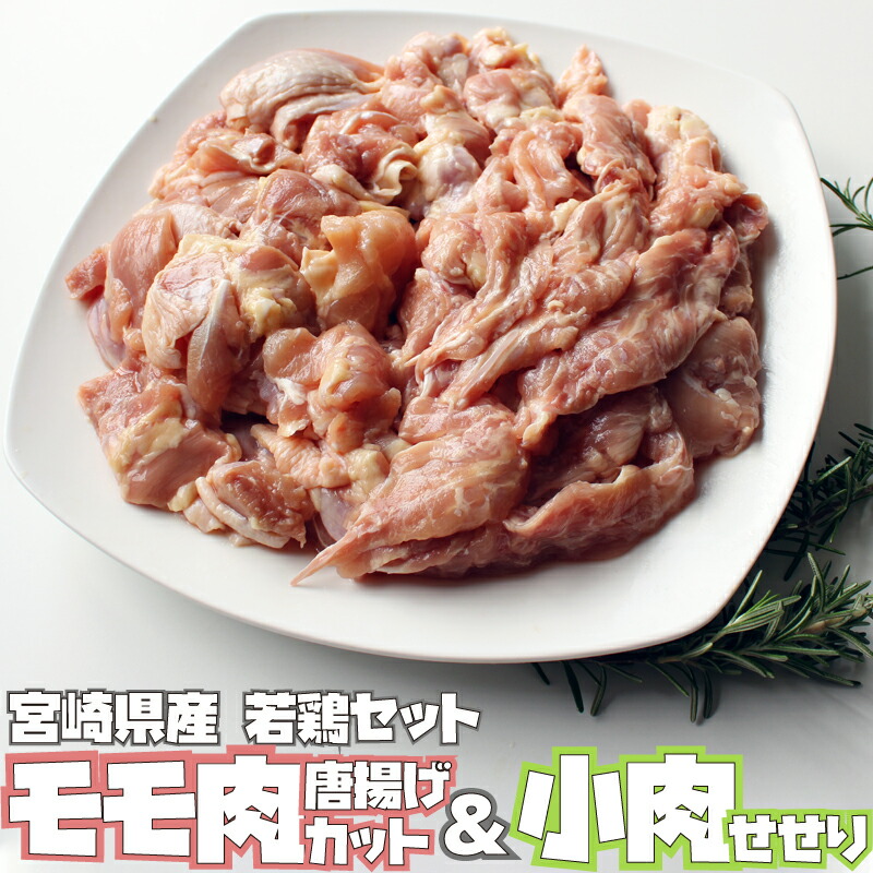 楽天カード分割】 宮崎県産 若鶏 骨付きモモ 10本セット 約3kg 鶏肉 モモ 冷凍 真空パック 小分け 送料無料 www.dexion.com.au