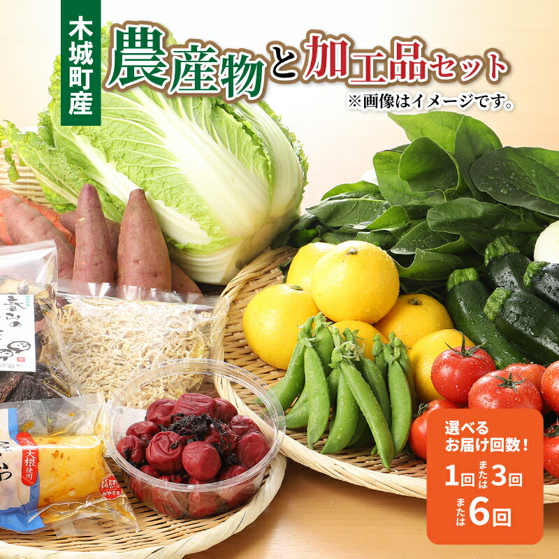 【ふるさと納税】木城町産農産物と加工品セット - 1回お届け/3回定期便/６回定期便 産地直送 野菜セット 旬の野菜6～8品程度 季節の野菜 おまかせ お楽しみ 詰め合わせ 野菜宅配 例：ほうれん草/きゅうり/生姜/ごぼう/次郎柿/ドレッシングなど 送料無料【宮崎県木城町】