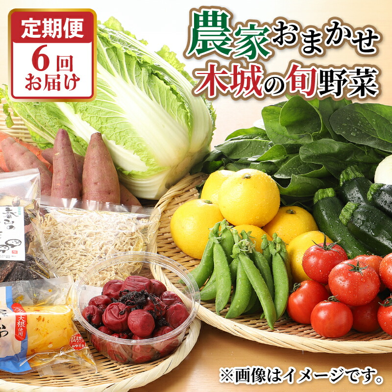 【ふるさと納税】農家おまかせ木城の旬野菜定期便6回 - 産地直送 野菜セット 旬の野菜6～8品程度 季節の野菜 おまかせ お楽しみ 新鮮 野菜の詰め合わせ 野菜宅配 6回定期便 6ヶ月定期便 送料無料 【宮崎県木城町】