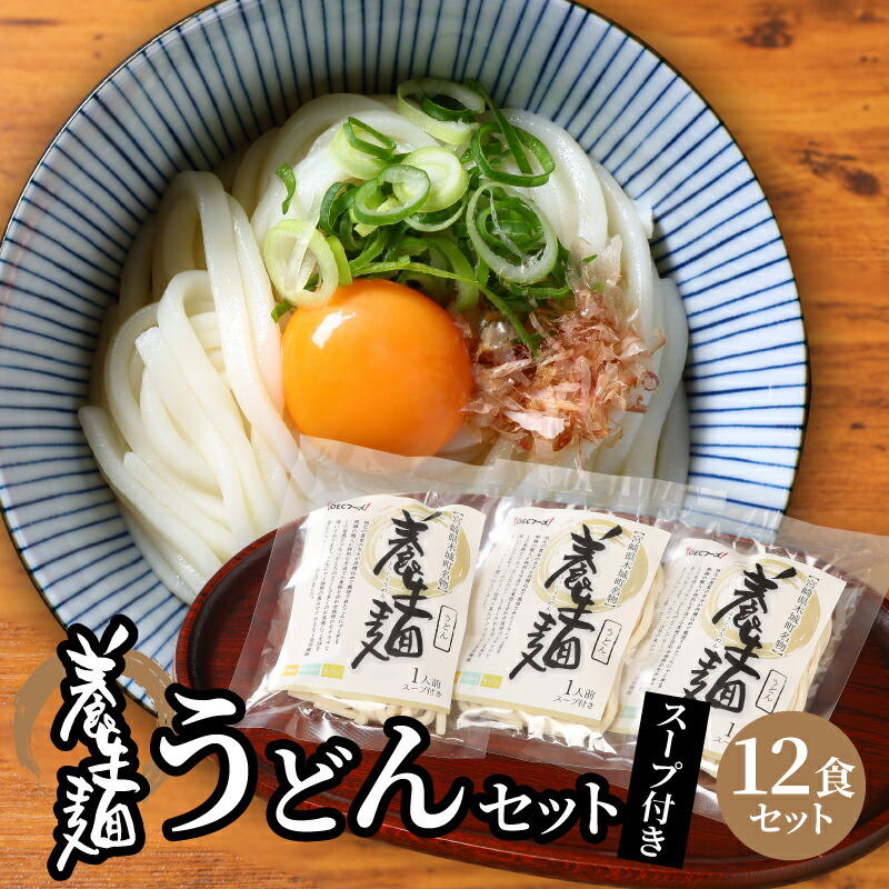 【ふるさと納税】養生麺うどん詰合せ 12袋入り - 木城町名物 養生麺(ようじょうめん) 生麺 細うどん ざるうどん 粉末スープ 出汁付き 食物繊維を含んだヘルシーな麺 のどごし モチモチ ツルッ 詰め合わせ 送料無料【宮崎県木城町】