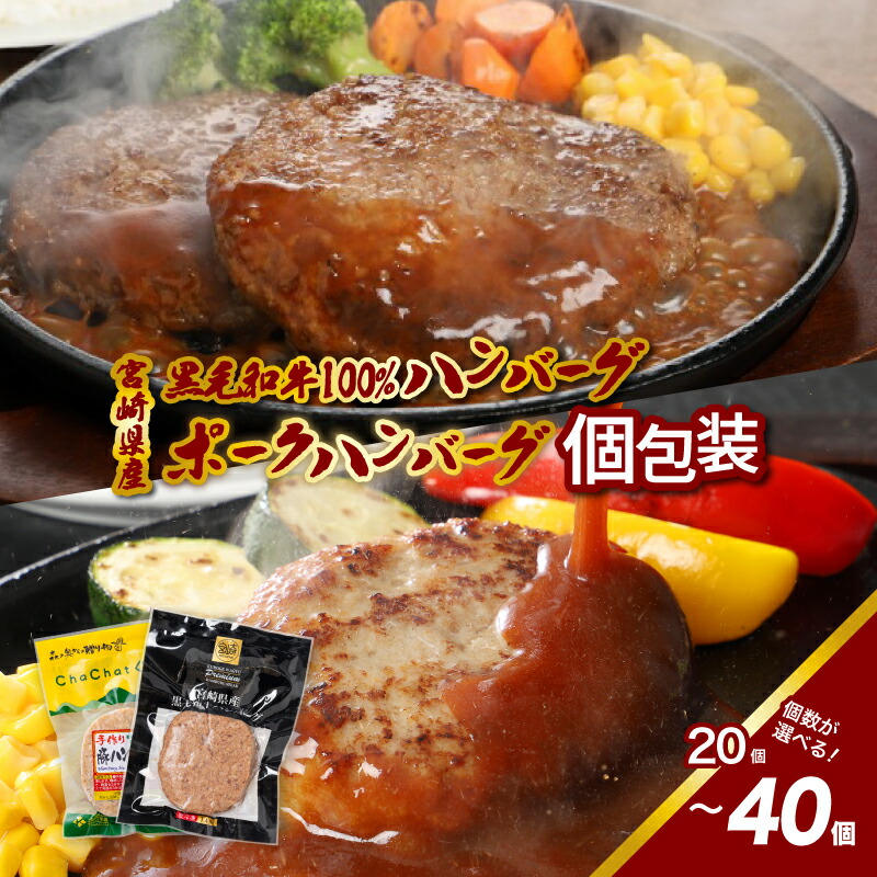 【ふるさと納税】ハンバーグ詰め合わせセット(牛・豚) - 国産黒毛和牛100％ハンバーグ ポークハンバーグ 冷凍ハンバーグ 国産 牛肉ハンバーグ 豚肉ハンバーグ 肉・加工品 お惣菜 お総菜 焼くだけ 食べ比べセット 2種類 個包装 ハンバーグ冷凍 送料無料 【宮崎県木城町】