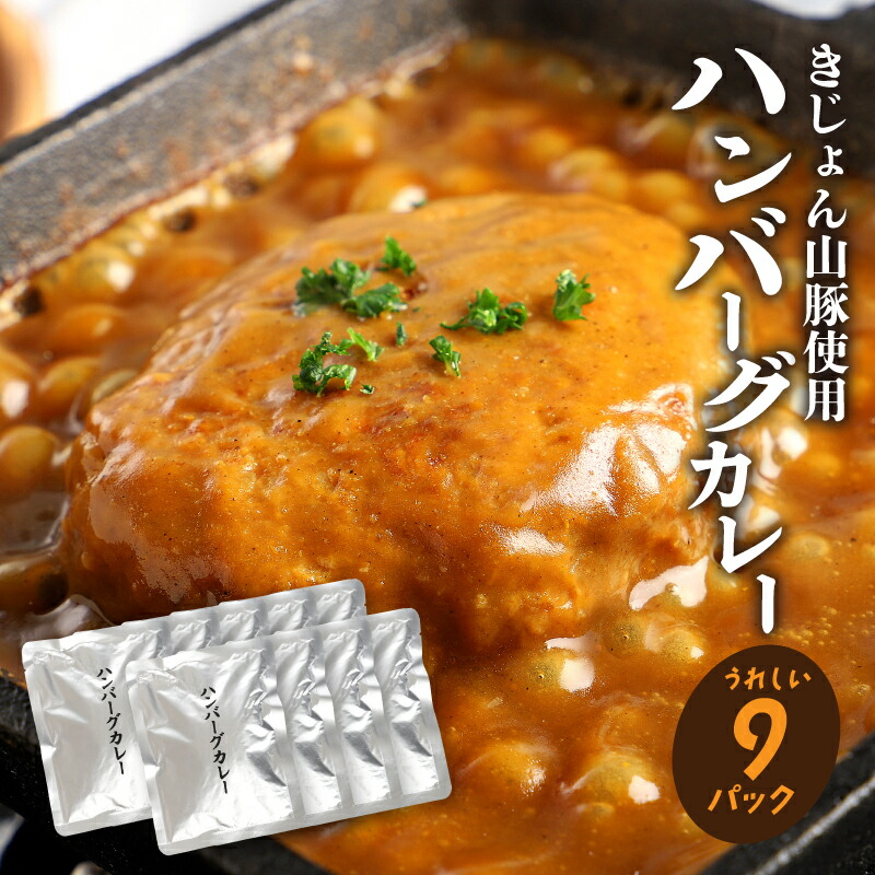 【ふるさと納税】【ご当地カレー】ハンバーグカレー 9パック - きじょん山豚ハンバーグ入り レトルトカレー 温めるだけ レトルト食品 湯煎調理 常温保存可能 簡易包装 お惣菜 ハンバーグ カレー 送料無料 【宮崎県木城町】