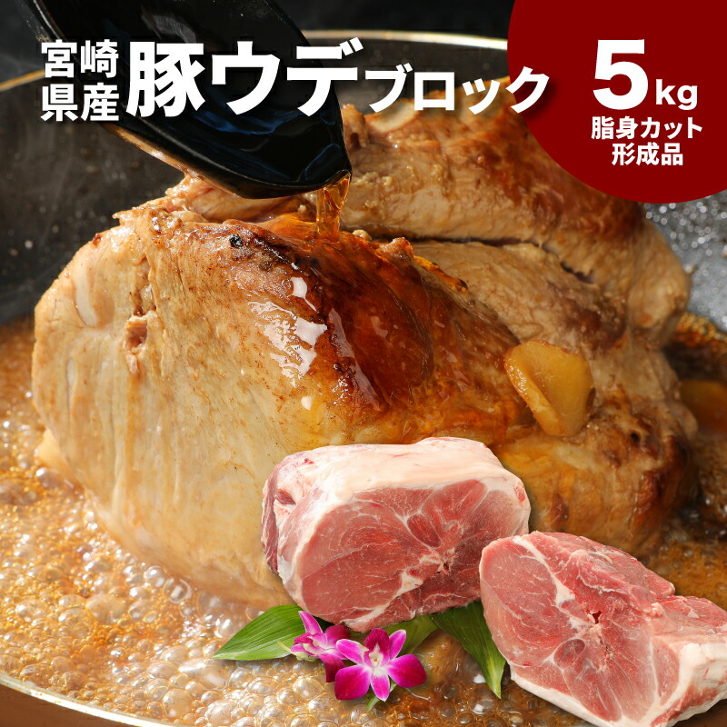 【ふるさと納税】宮崎県産豚ウデブロック５kg！脂身カット形成品【数量限定】 - 国産豚肉 豚ウデ肉 5キロ ブロック肉 かたまり肉 送料無料【宮崎県木城町】