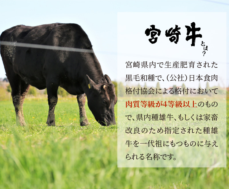 驚きの価格が実現 宮崎牛バラ肉切落しすき焼き用1kg 500g 2パック 等級以上 Automy Global