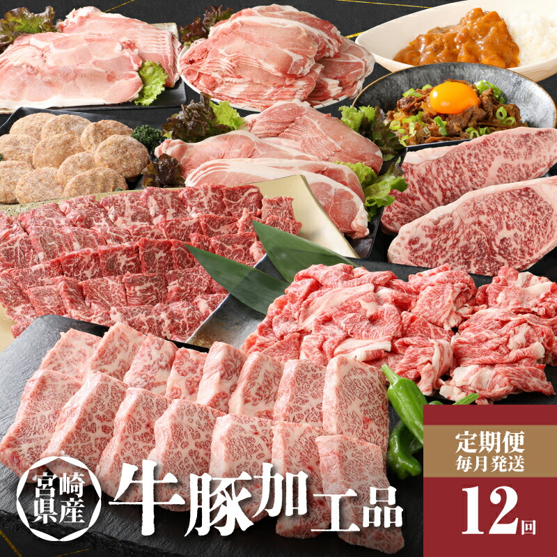 【ふるさと納税】12か月定期便 宮崎県産 牛・豚・加工品定期便！ - 宮崎牛ステーキ 黒毛和牛焼き肉 豚肉切り落とし ハンバーグ 黒毛和牛カルビ焼肉 宮崎牛バラ肉すき焼き用A4以上 牛丼のもと オリジナルカレー 12ヶ月 送料無料【宮崎県木城町】