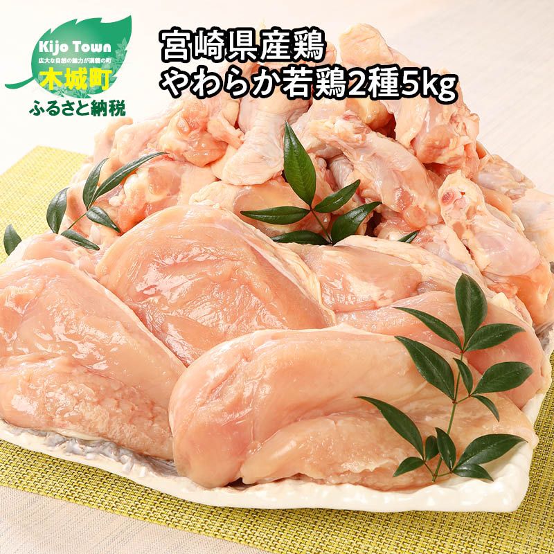 出色 宮崎県産 鶏ムネ 豚ミンチ 6kgセット Fucoa Cl