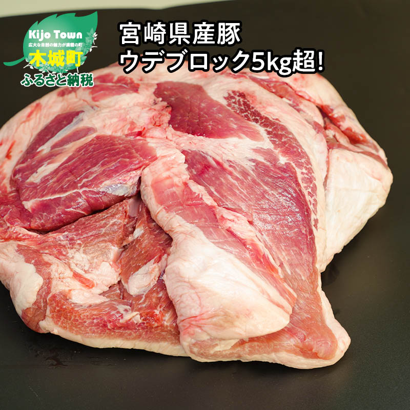 楽天市場】【ふるさと納税】宮崎県産鶏 スペシャル鶏三昧5kgセット - 鶏もも肉 鶏むね肉 手羽元 総重量5キロ 鶏肉セット  唐揚げ/チキン南蛮/サラダチキン/煮物 3種類の部位 真空パック 送料無料 K16_0017_2 【宮崎県木城町】 : 宮崎県木城町