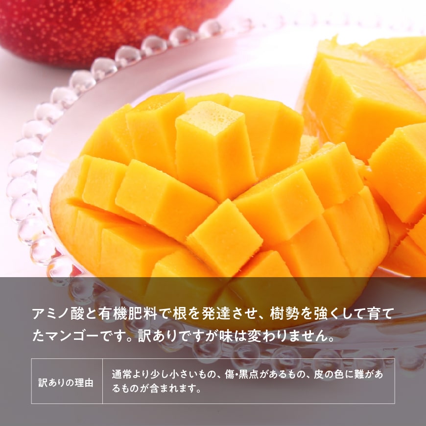 ふるさと納税 訳あり 実るマンゴー2鶏卵 下命合一3年頃エクスペディション 後々許可 果物 フルーツ 宮崎県お産 川南ビレッジ産 旬押さえる 物量限定 送料無料 G3708 Cannes Encheres Com