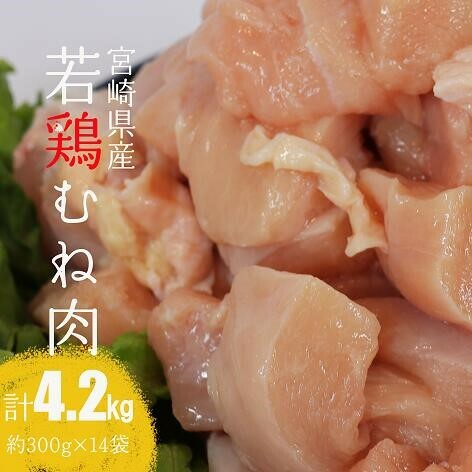 【ふるさと納税】【発送月が選べる】【小分け】宮崎県産若鶏むね肉4.2kg（約300g×14袋） - 鶏肉 むね肉 肉 小分け 鶏ハム チキン南蛮 国産 九州産 宮崎県産 ヘルシー 送料無料 C06911