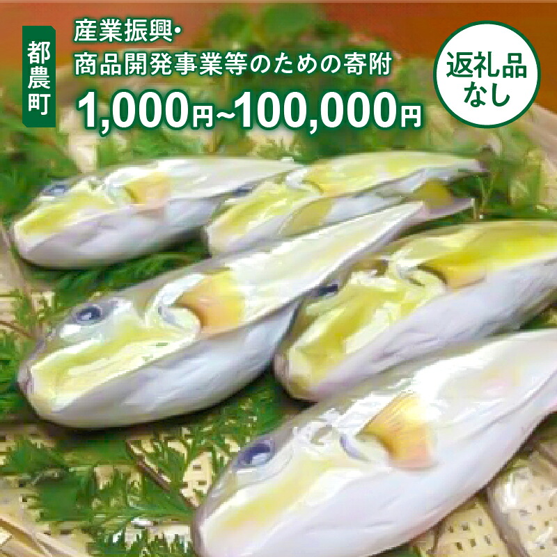 【ふるさと納税】≪返礼品なし≫都農町の 産業振興 ・ 商品開発事業 等のための寄附 1口 1,000円 ～ 100,000円 応援 寄附のみ 特産品の6次産業化 産業支援 農業支援 水産業支援 特産品開発 宮崎県｜宮崎県都農町