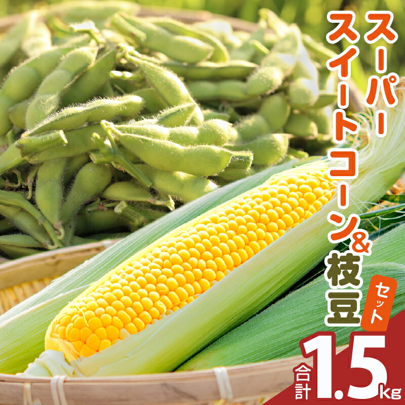 【ふるさと納税】先行予約 期間限定 スーパースイートコーン ＆ 枝豆 茶豆風味 ・ 茶豆 セット 合計1.5kg お試し用 とうもろこし 野菜 サラダ おやつ おつまみ 産地直送 季節限定 詰め合わせ おすそ分け お取り寄せ グルメ 食品 国産 宮崎県 都農町 送料無料