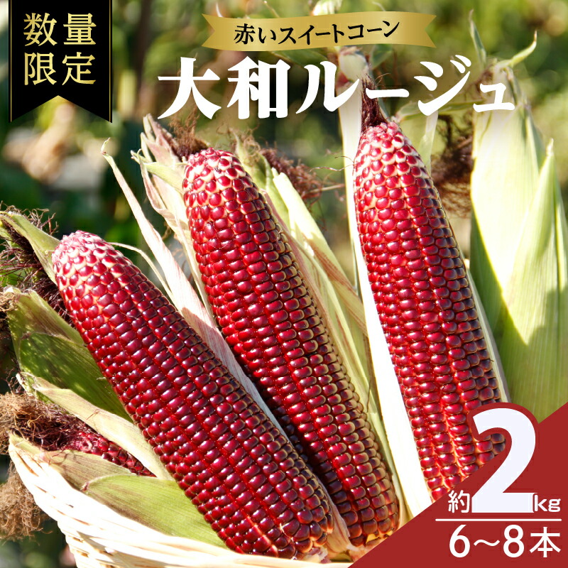 【ふるさと納税】先行予約 期間限定 赤い スイートコーン 大和ルージュ 約2kg とうもろこし 旬 野菜 おやつ ポリフェノール レンチン 産地直送 季節限定 おすそ分け お取り寄せ グルメ おすすめ 食品 国産 宮崎県 都農町 送料無料