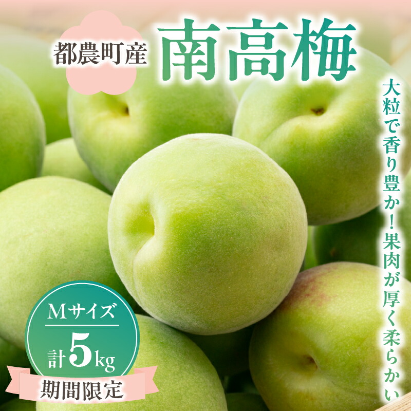 【ふるさと納税】 先行予約 ≪期間限定≫ 都農町産 南高梅(Mサイズ) 計5kg 数量限定 梅 うめ 大粒 果物 くだもの フルーツ 国産 青梅 梅干し うめぼし 梅酒 ウメ酒 梅シロップ 梅ジャム 梅ジュース 梅酢 甘露煮 おすすめ 果実 産地直送 宮崎県 都農町 送料無料