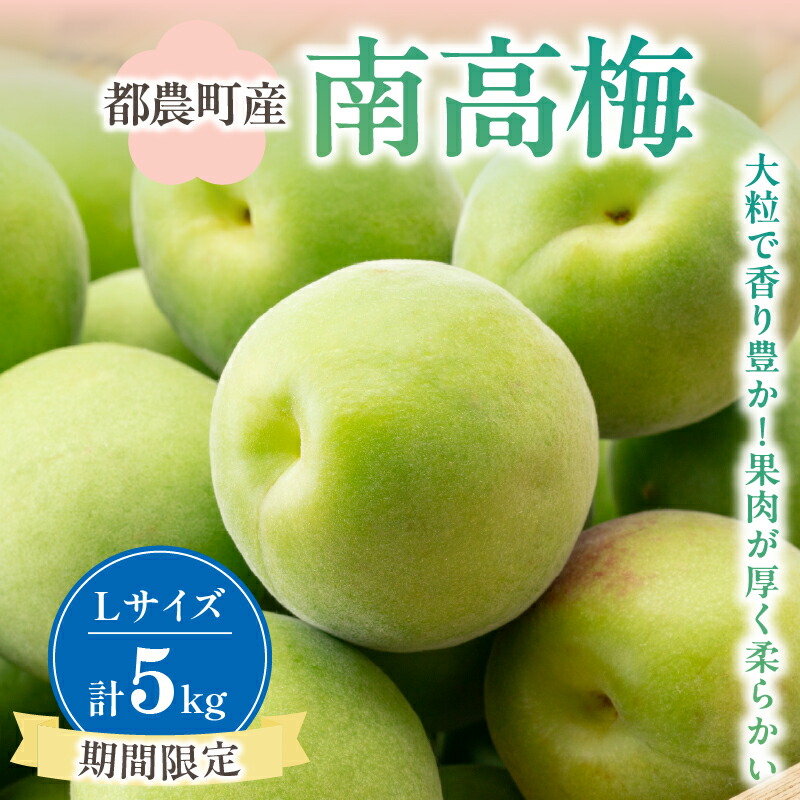 【ふるさと納税】 先行予約 ≪期間限定≫ 都農町産 南高梅(Lサイズ) 計5kg 数量限定 梅 うめ 大粒 果物 くだもの フルーツ 国産 青梅 梅干し うめぼし 梅酒 ウメ酒 梅シロップ 梅ジャム 梅ジュース 梅酢 甘露煮 おすすめ 果実 産地直送 宮崎県 都農町 送料無料