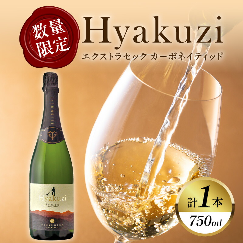 【ふるさと納税】数量限定 Hyakuzi エクストラセック カーボネイティッド 1本 酒 飲料 アルコール 国産 都農ワイン スパークリングワイン やや辛口 シャンパン 家飲み 晩酌 パーティー ご褒美 記念日 お取り寄せ グルメ 宮崎県 都農町 送料無料