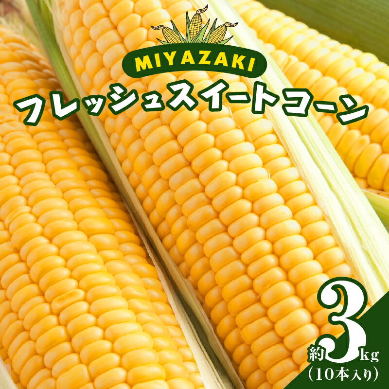 【ふるさと納税】期間限定 みやざき フレッシュスイートコーン 約3kg とうもろこし ゴールドラッシュ 野菜 サラダ スープ おやつ レンチン 茹で 焼き 産地直送 期間限定 おすそ分け お取り寄せ グルメ おすすめ 食品 生食用 国産 宮崎県 都農町 送料無料
