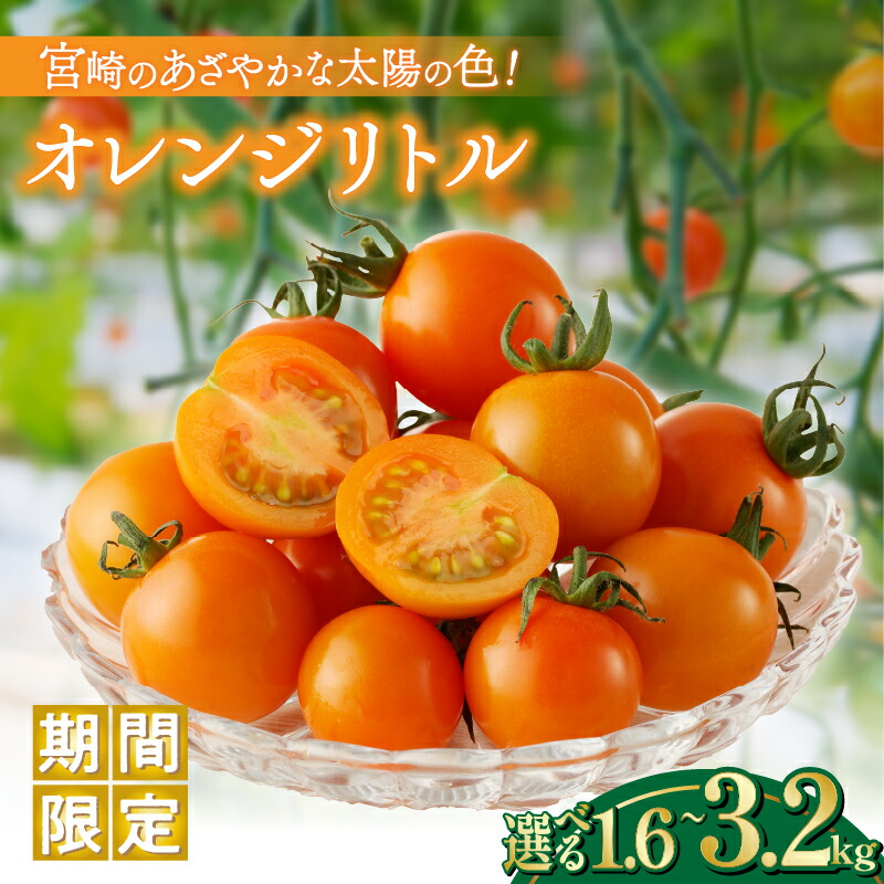 【ふるさと納税】【内容量が選べる】期間限定 オレンジリトル 1.6kg 2.4kg 3.2kg ミニトマト 野菜 青果 サラダ アヒージョ パスタ デザート 国産 完熟トマト フルーツトマト 新鮮 お土産 産地直送 おやつ おすすめ 贈答 ギフト 贈り物 お返し 宮崎県 都農町 送料無料