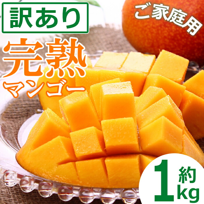 ふるさと納税 訳あり ファミリー代金 宮崎生み出すこと熟するマンゴー 粗粗1kg An 12 デート方位農林コラボレーション統合 Cjprimarycares Com