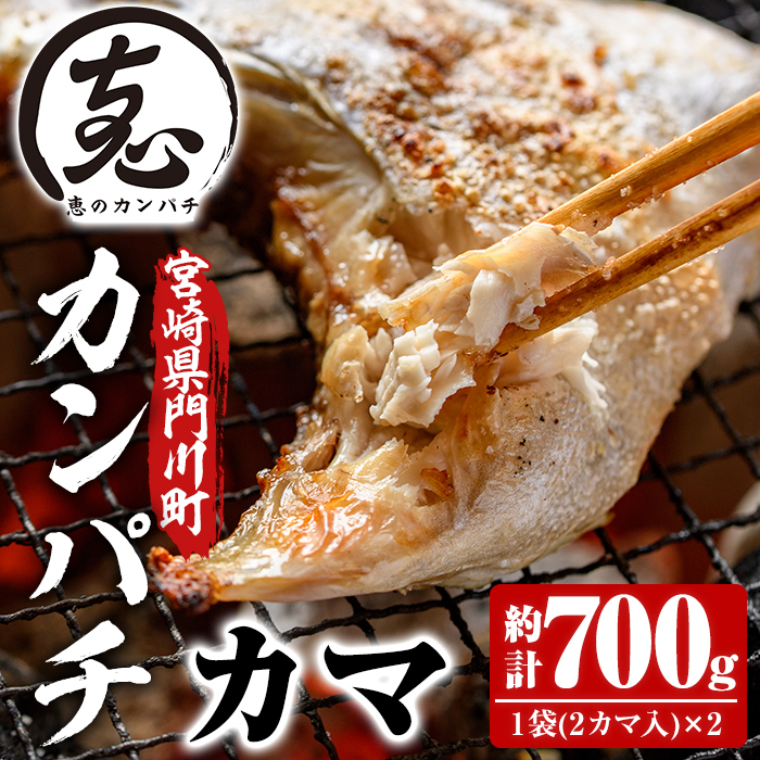 ふるさと納税 宮崎県製造 恵のカンパチ カマ 企劃大凡700g 1バッグ2カマ出々し 2ひとそろい こわだりのカンパチをご家庭で Ao 2 濱田水産 Djmarrs Co Nz