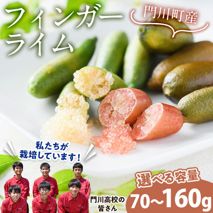 楽天市場】【ふるさと納税】＜数量限定・期間限定＞＜内容量が選べる