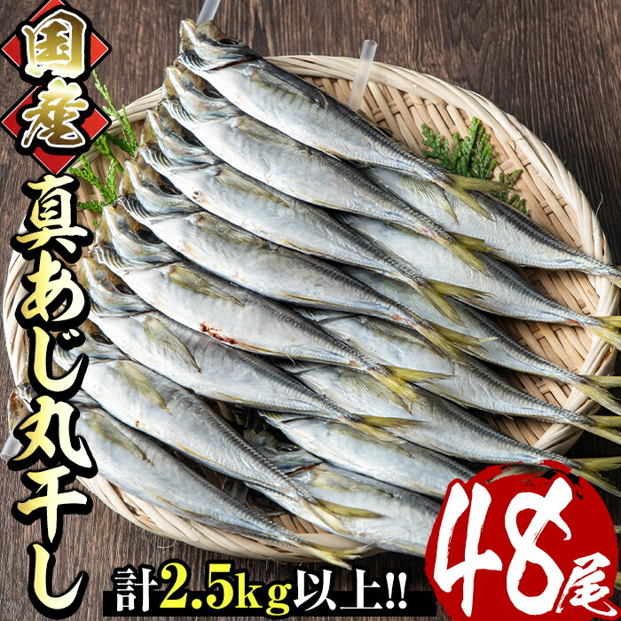 市場 ふるさと納税 九州近海どれの真アジ干物 国産真あじ丸干し48尾セット 計2.5kg以上 16尾×3箱