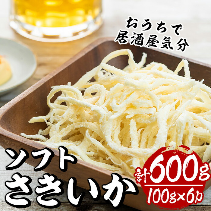 【ふるさと納税】ソフトさきいか(計約600g・100g×6P)干物 おつまみ 珍味 海産物 常温 保存【E-26】【水永水産】