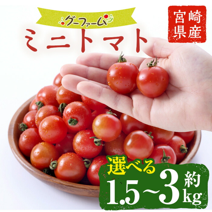 楽天市場】【ふるさと納税】＜先行予約受付中！2025年11月上旬