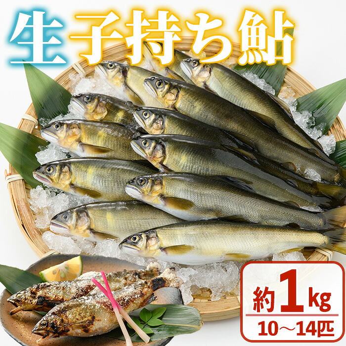 【ふるさと納税】【北海道・離島配送不可】＜先行予約受付中！2026年10月～11月中旬の間に発送予定＞＜期間限定＞生子持ち鮎(約1kg・10～14匹) 鮎 冷蔵 子持ち鮎 生き〆 生きシメ 国産 門川町産 宮崎県産 塩焼き あゆ 川魚 養殖 香魚 期間限定 【ME-02】【米良水産】