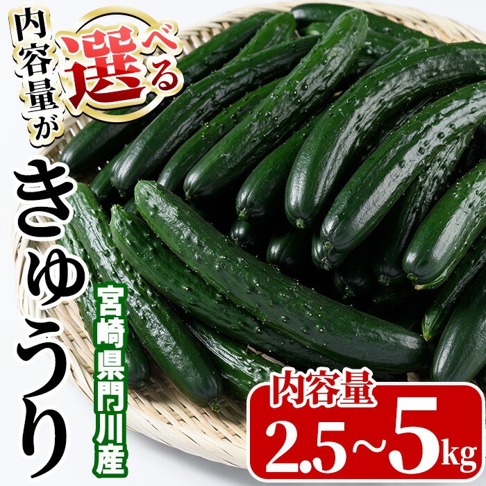 【ふるさと納税】＜内容量が選べる！＞宮崎県産きゅうり(2.5kg/5kg)野菜 やさい 旬 新鮮 サラダ キュウリ 胡瓜 冷蔵 宮崎県産【NS-1・NS-1】【中澤農園】