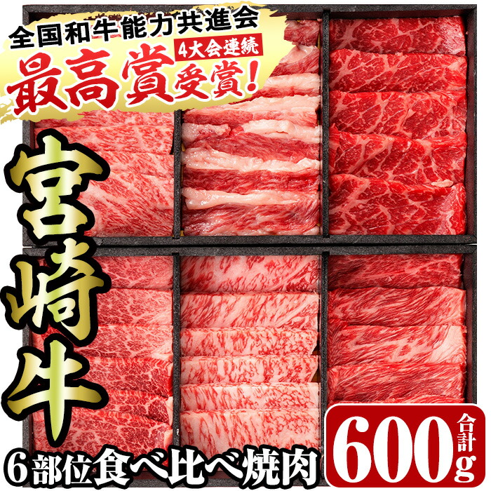 【ふるさと納税】＜宮崎牛・3D冷凍＞6部位食べ比べ焼肉(合計600g)牛肉 肉 ロース バラ モモ ヒレ ウデ セット 黒毛和牛 BBQ 国産 冷凍 宮崎県 門川町 ふるさと納税【R-27】【株式会社ミヤチク】