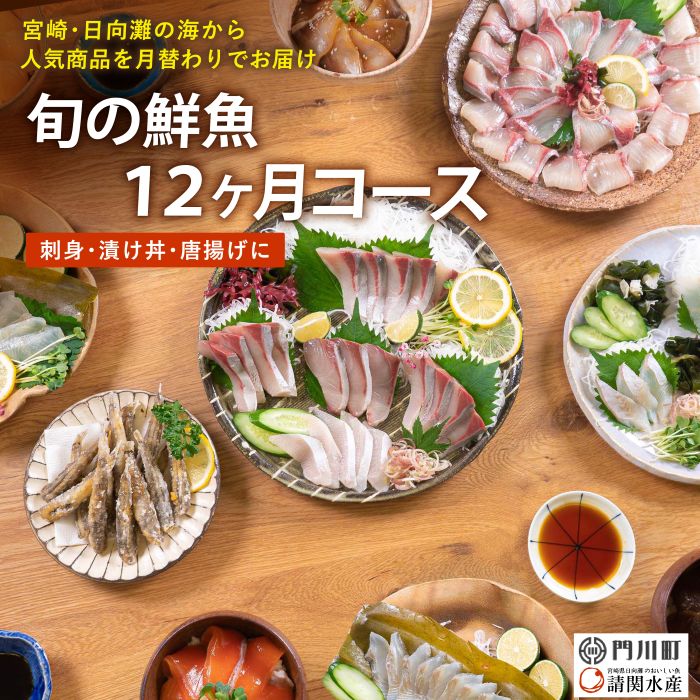 【ふるさと納税】【北海道・離島配送不可】＜定期便・全12回(連続)＞旬の鮮魚(12ヶ月コース)お刺身 お刺し身 魚介 海鮮 漬け丼 ブリ ぶり ヒラメ 真鯛 シマアジ カンパチ マグロ まぐろ サーモン ヒラメ ハマチ お楽しみ コンシェルジュ【UZ-09】【請関水産】