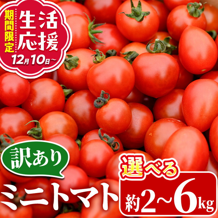 楽天市場】【ふるさと納税】＜先行予約受付中！2025年11月上旬から順次