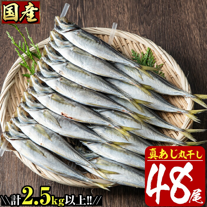 ふるさと納税 国産真あじ丸干し48尾セット 16尾 3箱 計2 5kg以上 九州近海どれの真アジ干物 おかずやおつまみに大活躍 E 21 水永水産 Theneonsignguystore Com