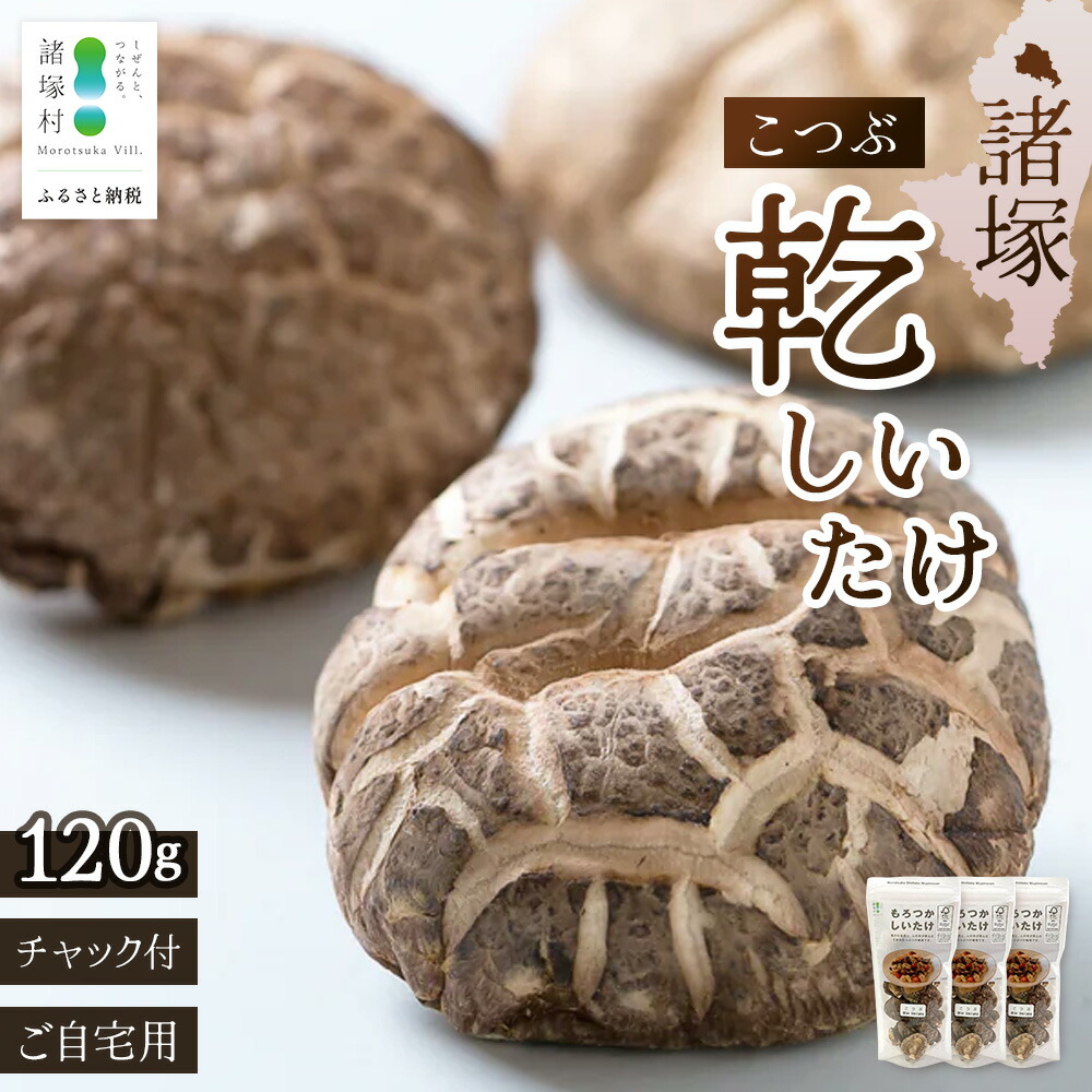 【ふるさと納税】＼CoC認証取得！／ 宮崎県諸塚村産 乾しいたけ こつぶ 40g&times;3P 計120g 常温｜干ししいたけ どんこ 椎茸 一口サイズ 酢漬け 手まり寿司 天ぷら 原木栽培 家庭用 もろっこはうす MO-24｜宮崎県諸塚村