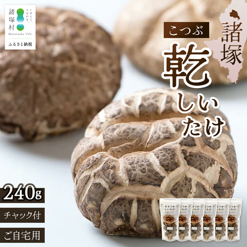 【ふるさと納税】＼CoC認証取得！／ 宮崎県諸塚村産 乾しいたけ こつぶ 40g&times;6P 計240g 常温｜干ししいたけ どんこ 椎茸 一口サイズ 酢漬け 手まり寿司 天ぷら 原木栽培 家庭用 もろっこはうす MO-25｜宮崎県諸塚村