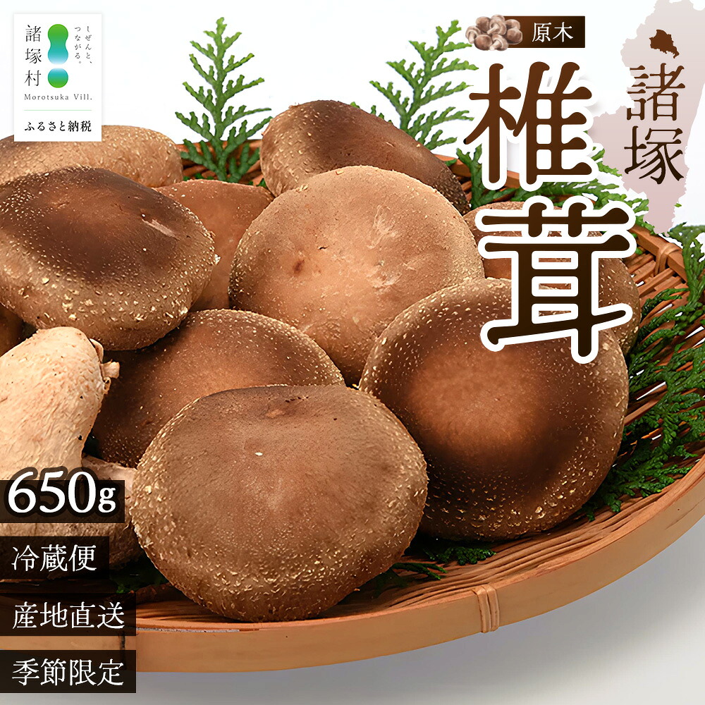【ふるさと納税】【先行予約】宮崎県諸塚村産 原木生椎茸 約650g［2026年9月～11月ごろにお届け］冷蔵｜しいたけ 生シイタケ きのこ キノコ 原木しいたけ 産地直送 秋の味覚 もろっこはうす MO-30｜宮崎県諸塚村