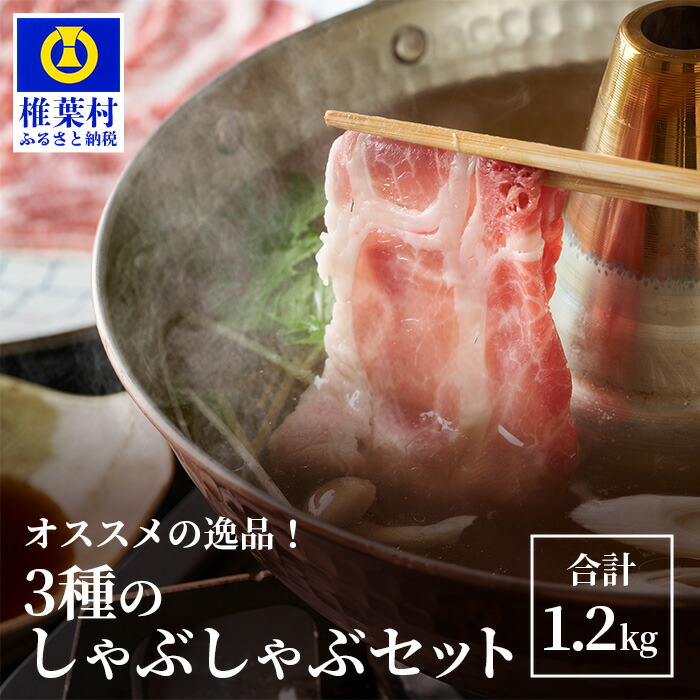 専門ショップ 定期便椎葉放牧豚 バラエティ定期便Aセットしゃぶしゃぶ 焼き肉 ミンチ ローススライス バラスライス fucoa.cl