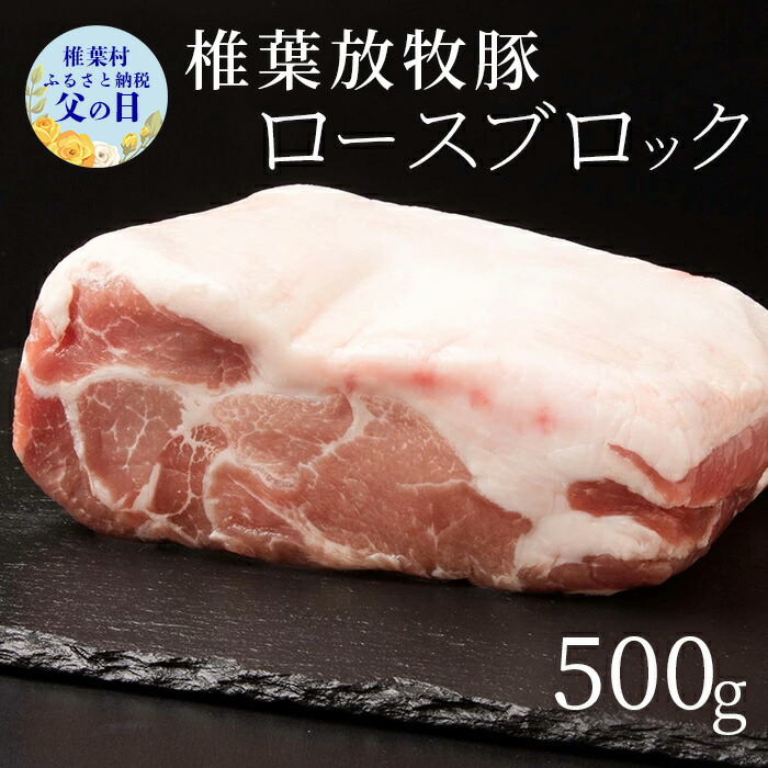 417円 年末年始大決算 父の日 ギフト 肉 GP 豚ヒレ肉 ブロック