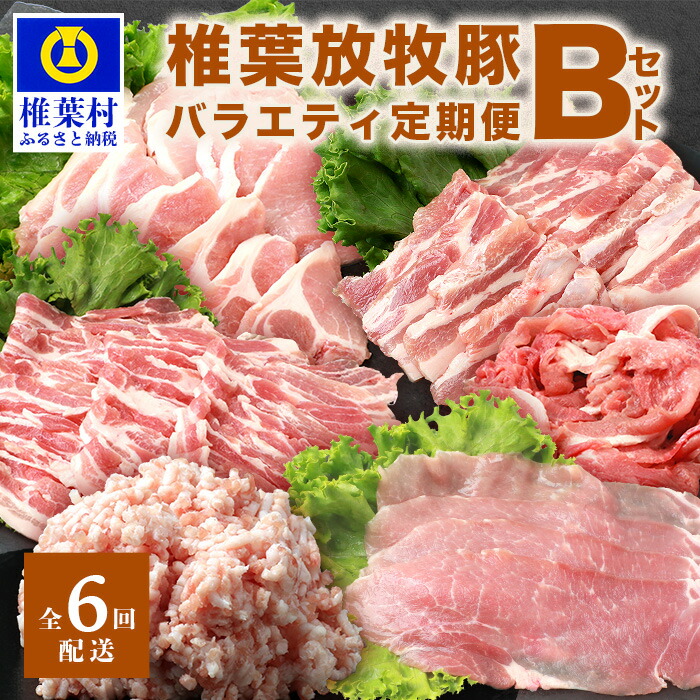 9750円 【ギフト】 ふるさと納税 元気豚 精肉4種セット 大盛り 2.6kg 千葉県