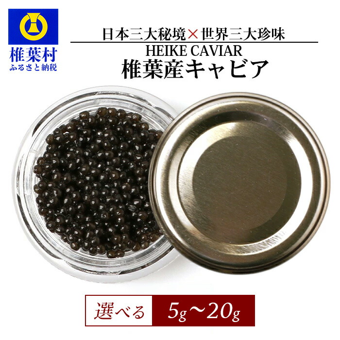 【ふるさと納税】【訳あり】HEIKE CAVIAR 5ｇ～20ｇ【SZ-117】｜送料無料 国産 お酒 プレゼント 魚介 魚卵 珍味 世界三大珍味 加工品 冷凍 高級 贅沢 グルメ ギフト 誕生日 記念日 お祝い 贈答 おすすめ 特産品 希少 訳アリ｜
