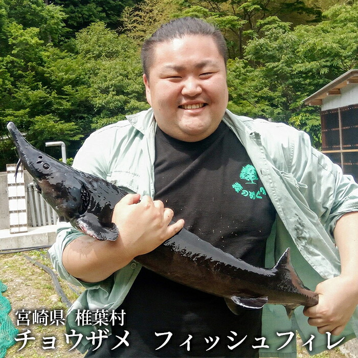 【ふるさと納税】キャビアフィッシュフィレ 1尾【800g~1.2Kg】【SZ-119】|国産 チョウザメ 人気 プレゼント 魚 魚介 魚卵 珍味 世界三大珍味 加工品 高級 贅沢 グルメ ギフト 誕生日 贈り物 希少 チョウザメ フィレ 切り身|