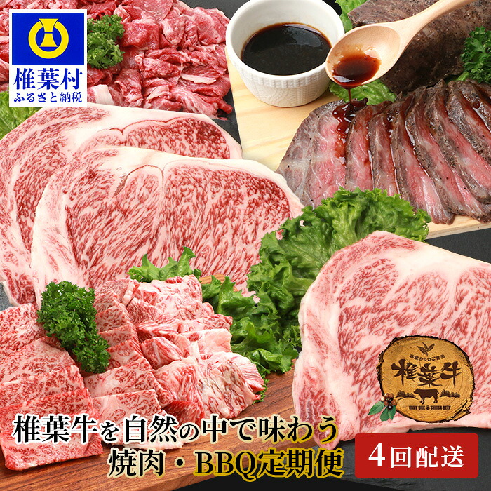 【ふるさと納税】定期便 4回 総重量 2.4kg 椎葉牛 大自然の中で味わう 焼肉 BBQ 定期便 A5等級 黒毛和牛 焼き肉 ステーキ 切り落とし ローストビーフ ｜ 定期便 牛肉 牛 肉 人気 黒毛和牛 和牛 国産牛 国産 ブランド牛 人気 おすすめ ｜ TK-63