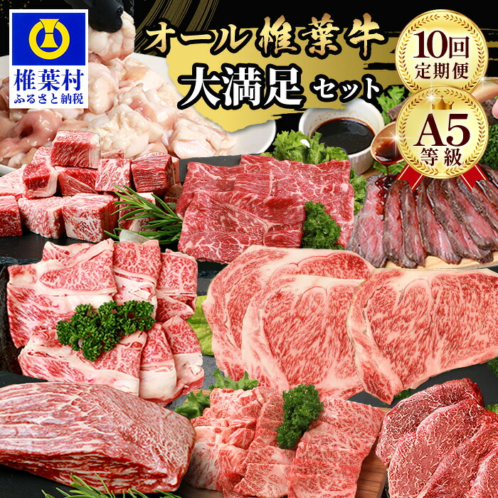 【ふるさと納税】【 定期便 全 10回 】 10ヶ月連続でお届け! 牛肉 オール 椎葉牛 大満足セット 総重量 5,180g | 牛肉 ステーキ 精肉 ホルモン モモ肉 ヒレ肉 定期便 肉 スライス肉 サーロイン 黒毛和牛 A5ランク おすすめ 送料無料 |TK-105|宮崎県椎葉村