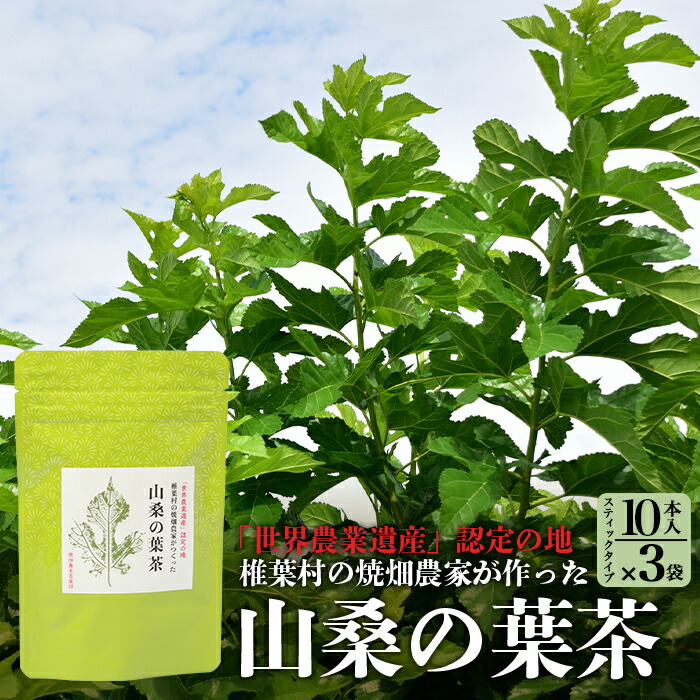 【ふるさと納税】【世界農業遺産の産物】焼畑農家がつくった山桑の葉茶 スティックタイプ 10本入り&times;3袋【桑茶】国産 茶葉 山桑 やまくわ 桑茶 無添加 無農薬 寒さ対策 体 温まる お肌 アロマ効果 お茶 茶 健康茶 栄養 食物繊維 便利 ティータイム お土産 手土産 ご当地｜宮崎県椎葉村