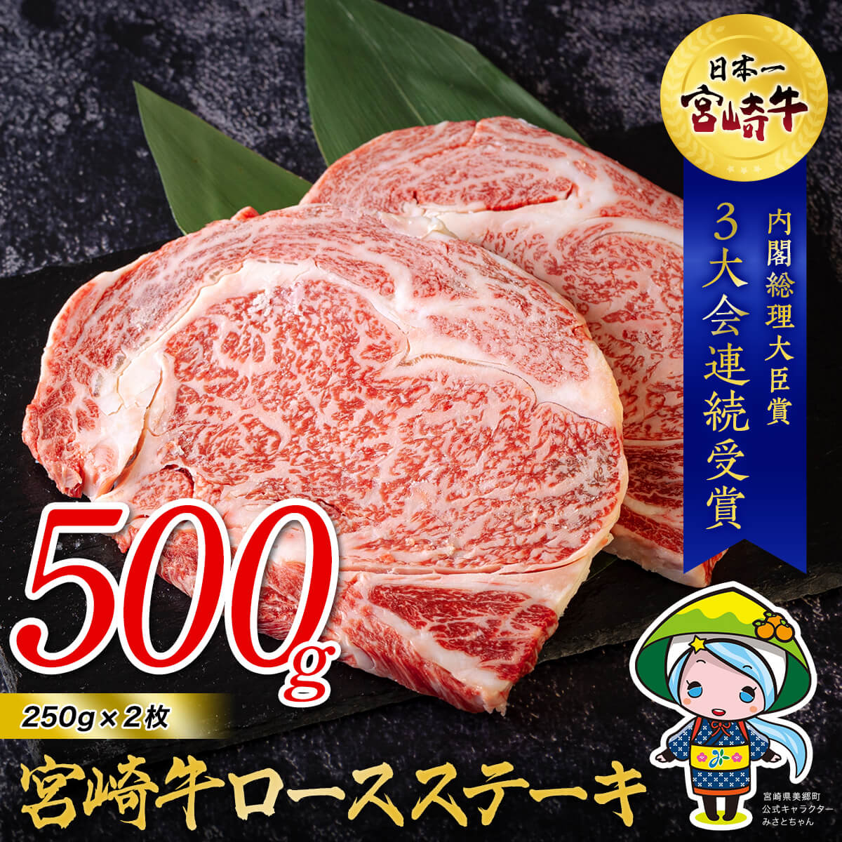 宮崎牛サーロインブロック500g 牛肉 冷凍 送料無料 九州産 内閣総理大臣賞受賞 宮崎県産