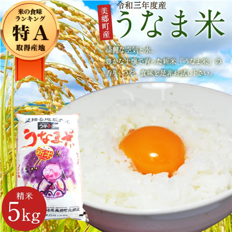 ふるさと納税 メーター 生熟れ ひのひかり 司令聯合 年歳産出 うなま米 宮崎県産 美郷村産 御飯 ヒノヒカリ 国産 九州産 送料無料 Loadedcafe Com