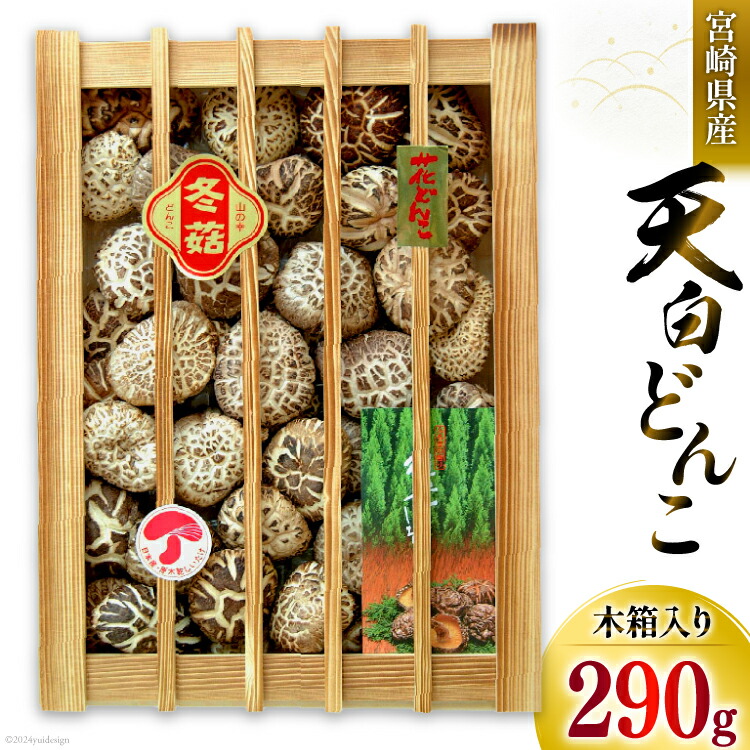 【ふるさと納税】宮崎県産 乾椎茸 ギフト 天白 どんこ 「K-100」 290g 肉厚 [岡田商店 宮崎県 美郷町 31ac0037] 乾燥 椎茸 干し椎茸 しいたけ 国内産 九州産 宮崎県産 ギフト 贈り物 プレゼント 贈答用 化粧箱 木箱 専用箱 送料無料  希少 貴重