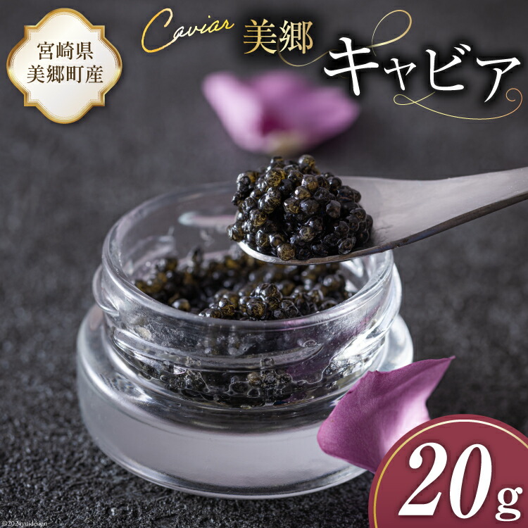 【ふるさと納税】美郷 キャビア チョウザメ 20g [宮崎キャビア 宮崎県 美郷町 31az0011-NEW] きんかん キンカン 金柑 フレーバー 冷凍 宮崎県産